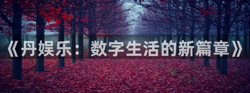 彩虹多多体育凯捷平台主管：《丹娱乐：数字生活的新篇章》
