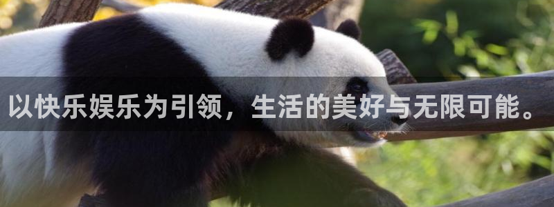 彩虹多多体育老板是谁：以快乐娱乐为引领，生活的美好与无限可能。
