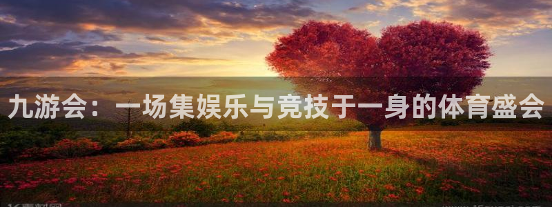 彩虹多多体育eon：九游会：一场集娱乐与竞技于一身的体育盛会