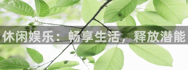彩虹多多主管：休闲娱乐：畅享生活，释放潜能