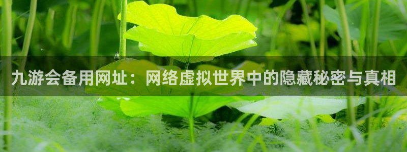 彩虹多多3：九游会备用网址：网络虚拟世界中的隐藏秘密与真相