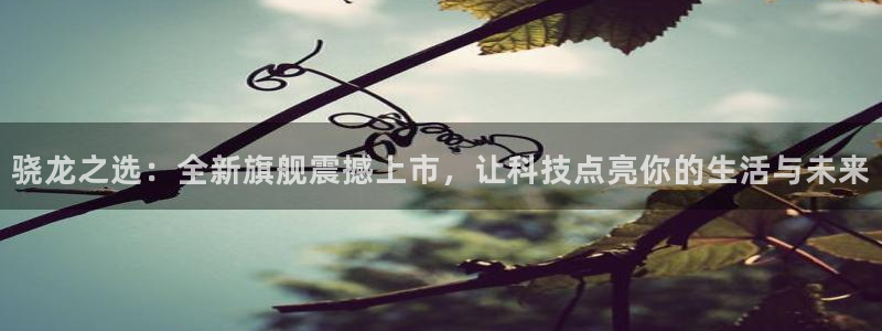 彩虹多多体育3：骁龙之选：全新旗舰震撼上市，让科技点亮你的生活与未来