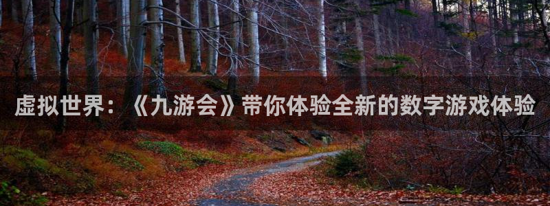 彩虹多多：虚拟世界：《九游会》带你体验全新的数字游戏体验