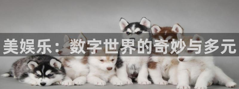 彩虹多多3登录：美娱乐：数字世界的奇妙与多元