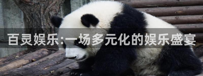 彩虹多多体育3在线注册：百灵娱乐:一场多元化的娱乐盛宴
