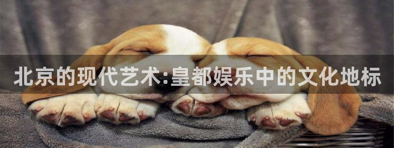 彩虹多多体育注册平台：北京的现代艺术:皇都娱乐中的文化地标