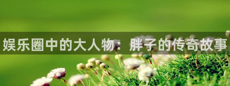 福建彩虹多多机电股份公司：娱乐圈中的大人物：胖子的传奇故事