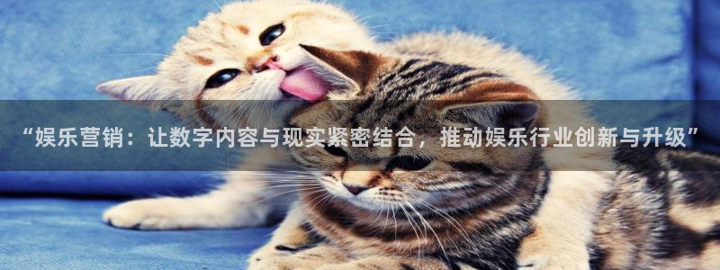 彩虹多多体育4：“娱乐营销：让数字内容与现实紧密结合，推动娱乐行业创新与升级”