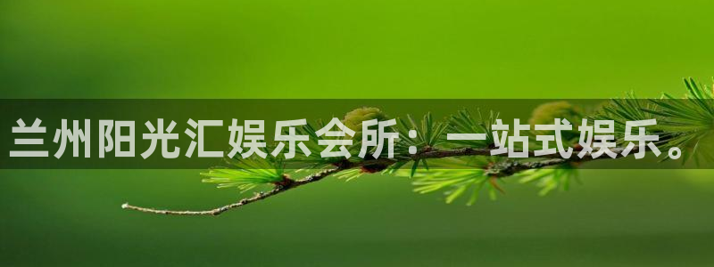 彩虹多多凯捷平台