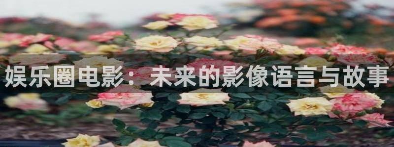 彩虹多多2体育：娱乐圈电影：未来的影像语言与故事