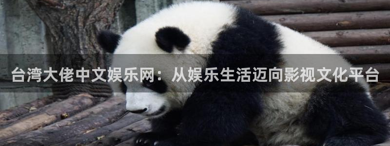 彩虹多多代理：台湾大佬中文娱乐网：从娱乐生活迈向影视文化平台