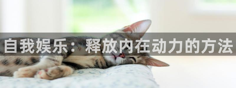 彩虹多多官网：自我娱乐：释放内在动力的方法