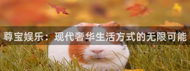 彩虹多多平台：尊宝娱乐：现代奢华生活方式的无限可能