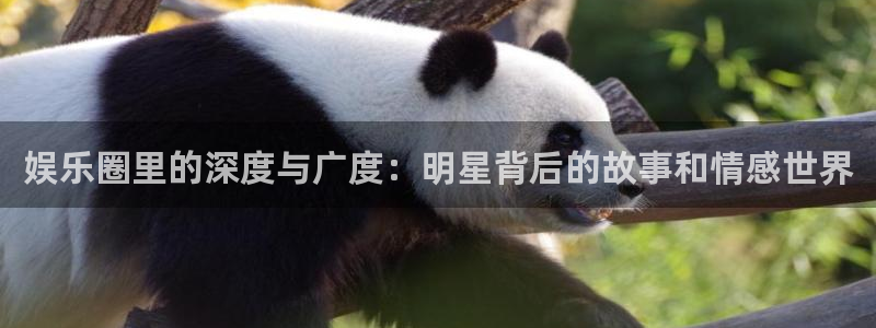 彩虹多多3注册：娱乐圈里的深度与广度：明星背后的故事和情感世界