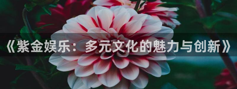 彩虹多多集团：《紫金娱乐：多元文化的魅力与创新》