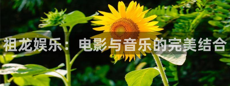 彩虹多多vk：祖龙娱乐：电影与音乐的完美结合