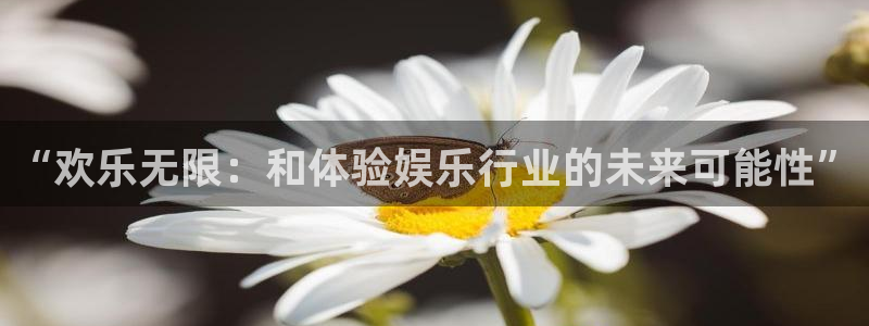 彩虹多多主管：“欢乐无限：和体验娱乐行业的未来可能性”