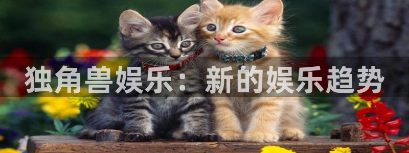 彩虹多多4平台：独角兽娱乐：新的娱乐趋势