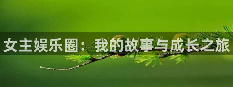 彩虹多多官网注册：女主娱乐圈：我的故事与成长之旅