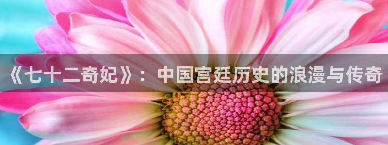 彩虹多多平台在线开户：《七十二奇妃》：中国宫廷历史的浪漫与传奇