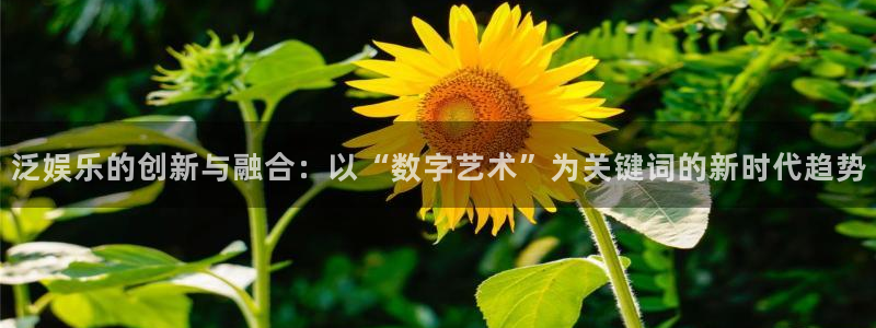 彩虹多多平台在线注册：泛娱乐的创新与融合：以“数字艺术”为关键词的新时代趋势
