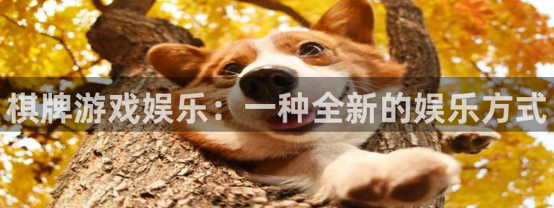 彩虹多多平台开户链接：棋牌游戏娱乐：一种全新的娱乐方式