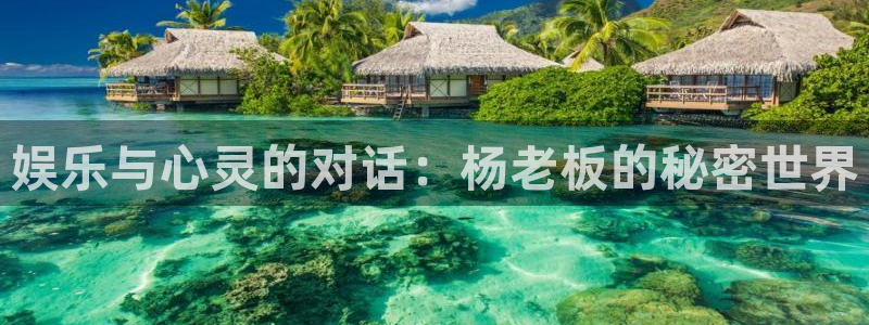 彩虹多多体育合法嘛：娱乐与心灵的对话：杨老板的秘密世界