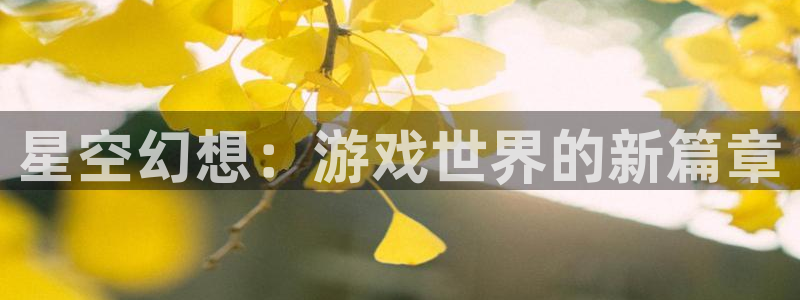 彩虹多多体育娱乐注册链接：星空幻想：游戏世界的新篇章