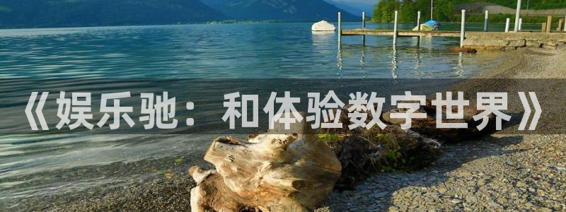 彩虹多多体育论坛：《娱乐驰：和体验数字世界》