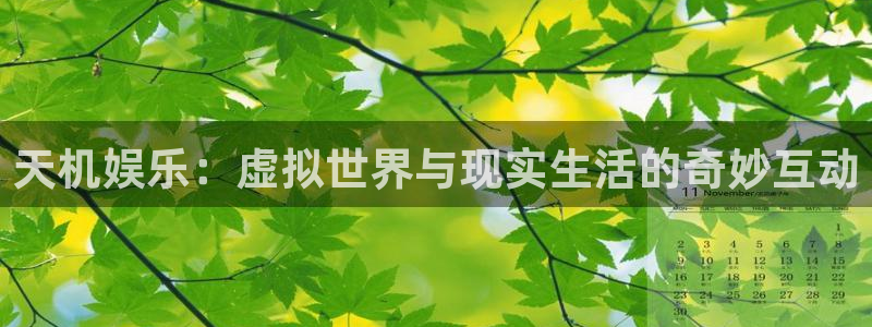彩虹多多平台主管：天机娱乐：虚拟世界与现实生活的奇妙互动