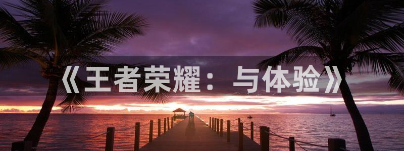 彩虹多多5注册：《王者荣耀：与体验》
