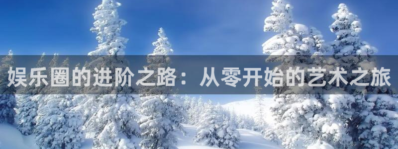 彩虹多多4登录：娱乐圈的进阶之路：从零开始的艺术之旅